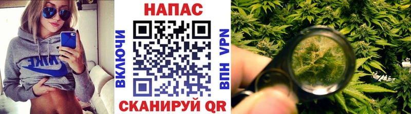 Наркошоп купить МАРИХУАНА  МЕТАМФЕТАМИН  Амфетамин  Псилоцибиновые грибы  COCAIN  Гашиш  Меф  Зерноград