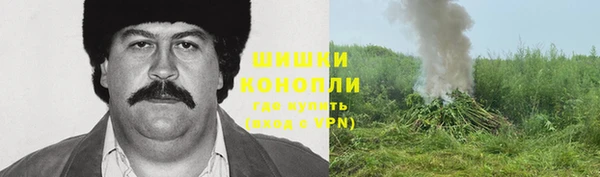 apvp Арсеньев