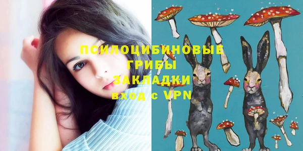 мяу мяу мука Аркадак