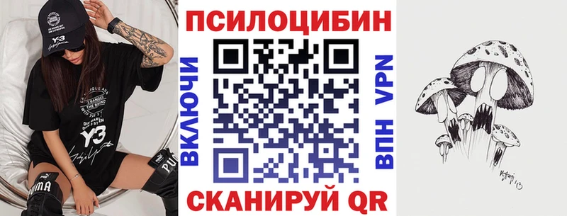Купить где  Зерноград  Галлюциногенные грибы Psilocybine cubensis 